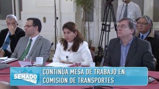 Jerko Juretic - Comision Transporte Senado