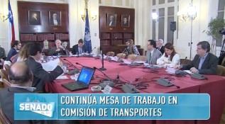 Jerko Juretic - Comision Transportes Senado 1